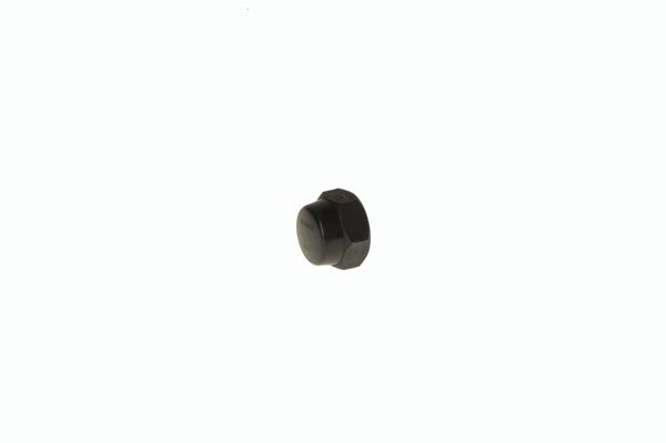 Cap Hansen 15mm BSP