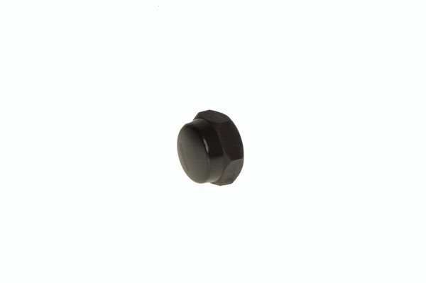 Cap Hansen 25mm BSP
