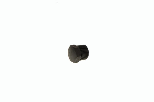 Plug Hansen 20mm BSP